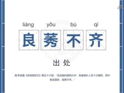 《支付宝》蚂蚁庄园2022年11月24日每日一题答案最新(2)