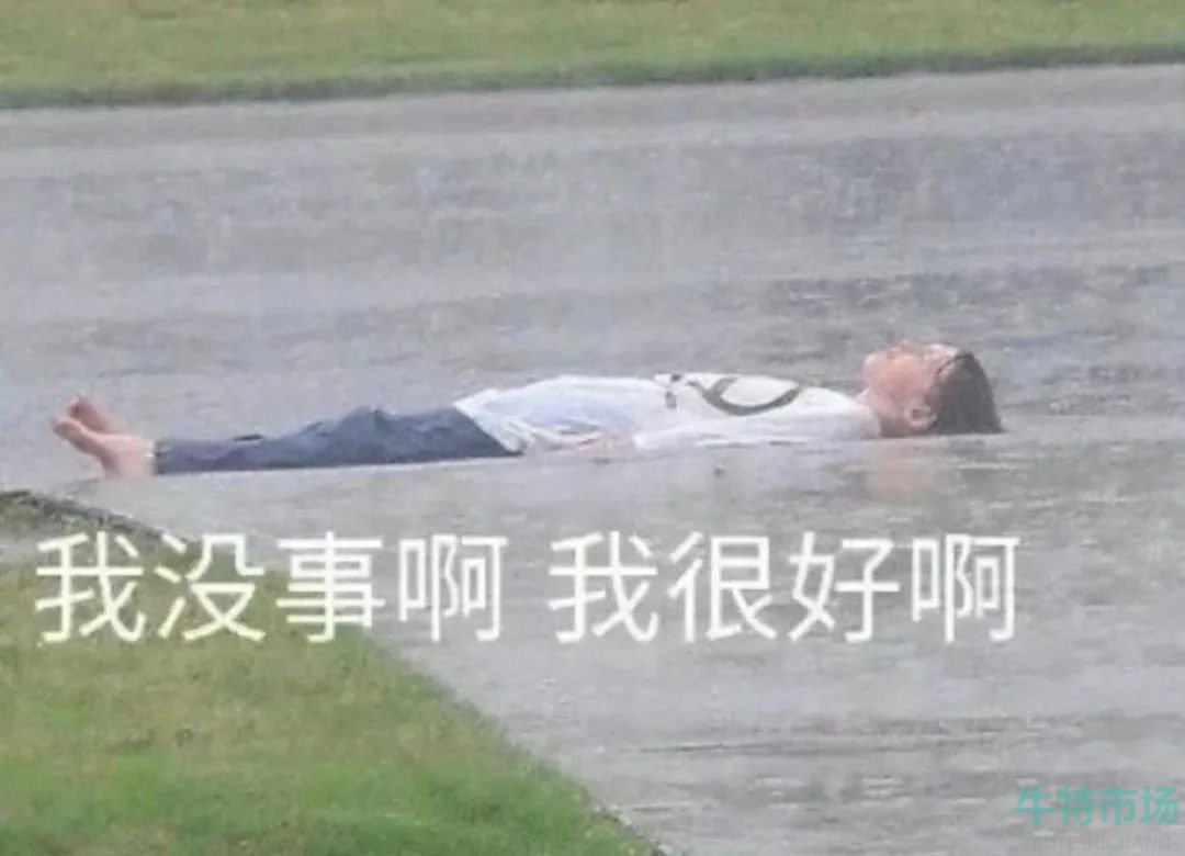 网络用语水仙是什么梗什么意思