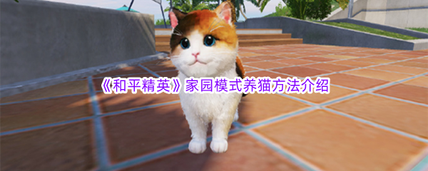 《和平精英》家园模式养猫方法介绍