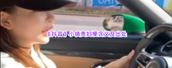 小镇贵妇是什么梗什么意思