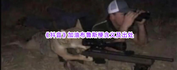加油布鲁斯是什么梗什么意思