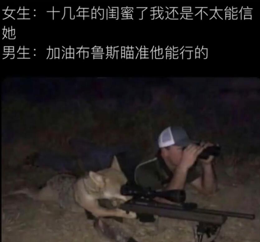 加油布鲁斯是什么梗什么意思