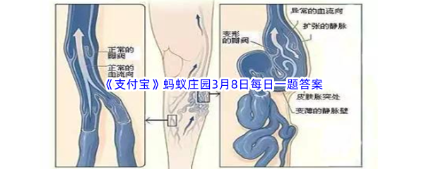 2023年《支付宝》蚂蚁庄园3月8日每日一题答案最新(2)