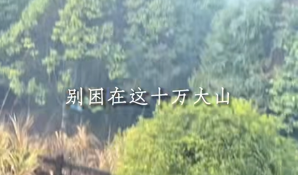 一路平安别困在这十万大山是什么梗什么意思