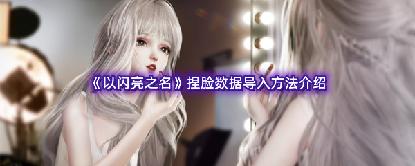 《以闪亮之名》捏脸数据导入方法介绍