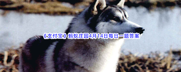 《支付宝》蚂蚁庄园2023年4月14日每日一题答案最新