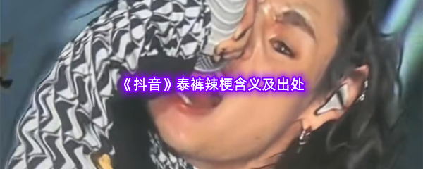 泰裤辣是什么梗什么意思