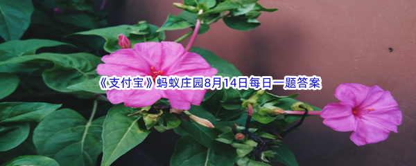 《支付宝》蚂蚁庄园2023年8月14日每日一题答案最新