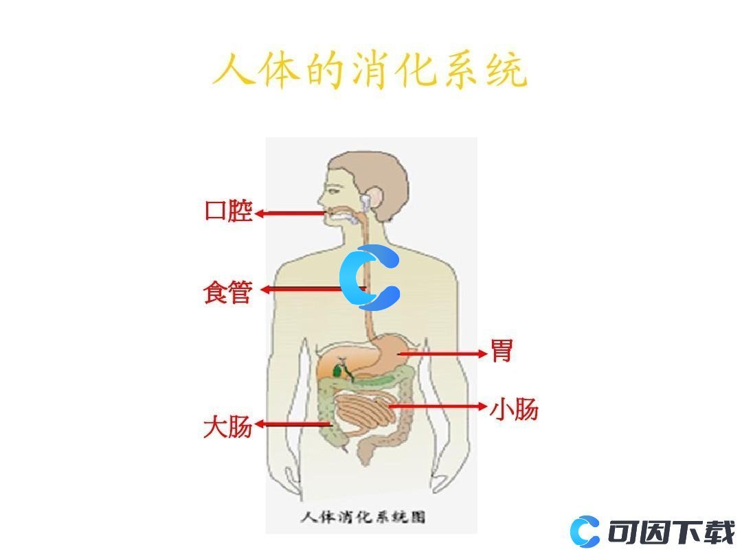 《支付宝》蚂蚁庄园2023年8月19日每日一题答案最新