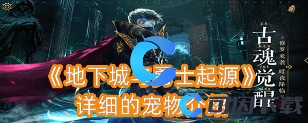 《地下城与勇士起源》详细的宠物介绍