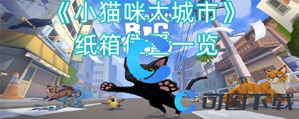 《小猫咪大城市》纸箱位置一览