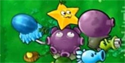 植物大战僵尸嫁接版1.0