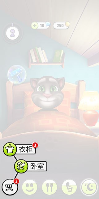 我的汤姆猫