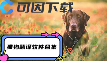 猫狗翻译软件合集