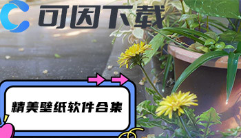 精美壁纸软件合集