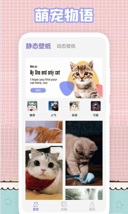 我的猫咪壁纸软件截图