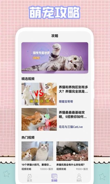 我的猫咪壁纸手机软件app