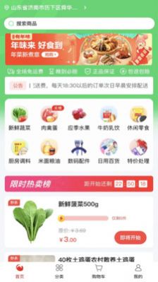 随团手机软件app