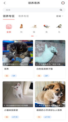 四季逗手机软件app