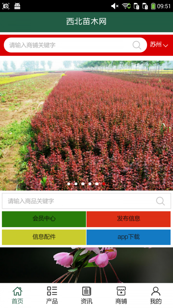 西北苗木网手机软件app
