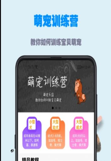 训狗教程大全软件截图