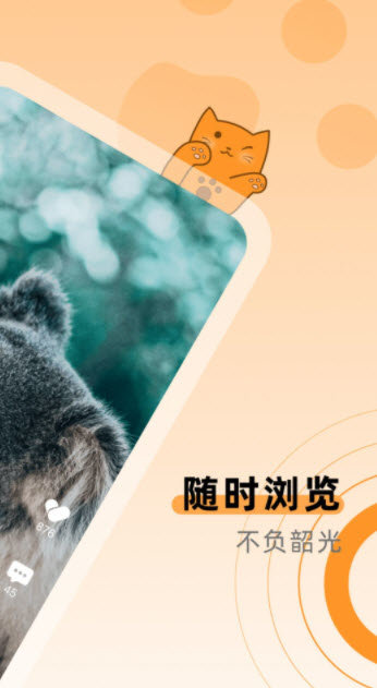 桔小猫短视频软件截图