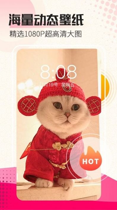 荷花唯美动态壁纸手机软件app