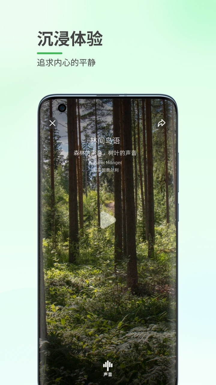 森林白噪音手机软件app