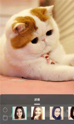 摸鱼鱼手机软件app