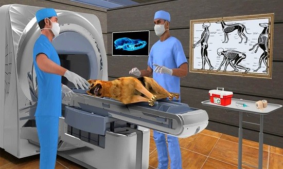 宠物医院模拟器游戏截图