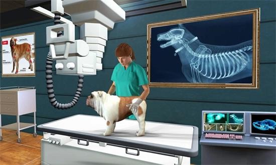 宠物医院模拟器游戏截图