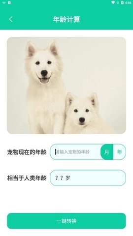 人狗翻译软件截图