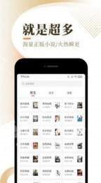 梦湾小说手机软件app