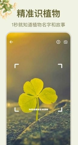 拍照识花大师手机软件app