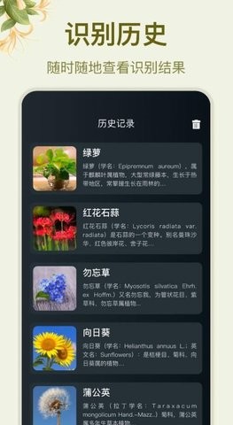 拍照识花大师手机软件app
