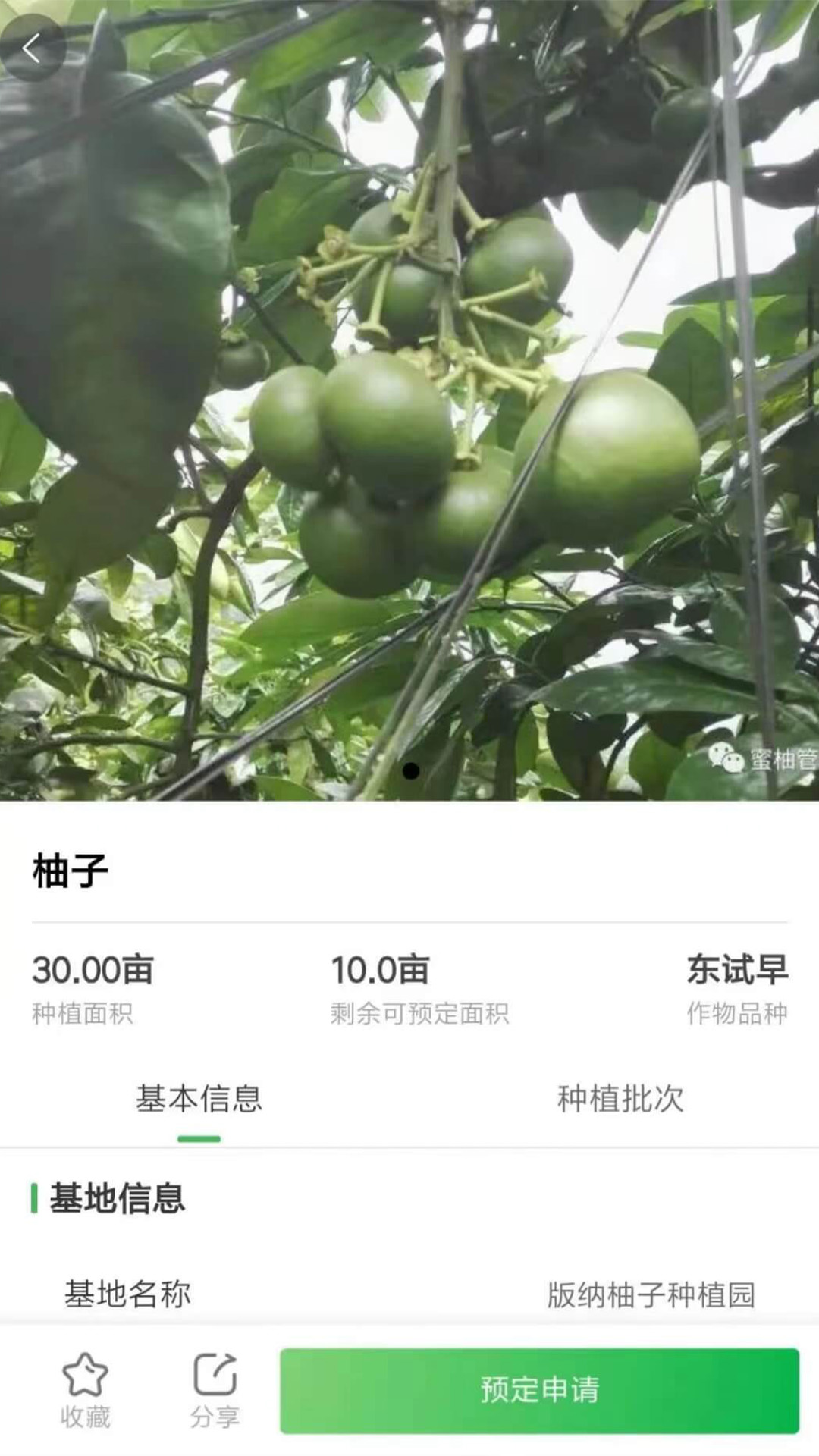 智云优选手机软件app