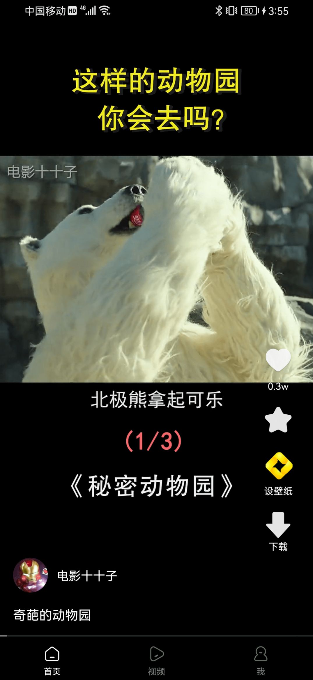犀鸟视频手机软件app