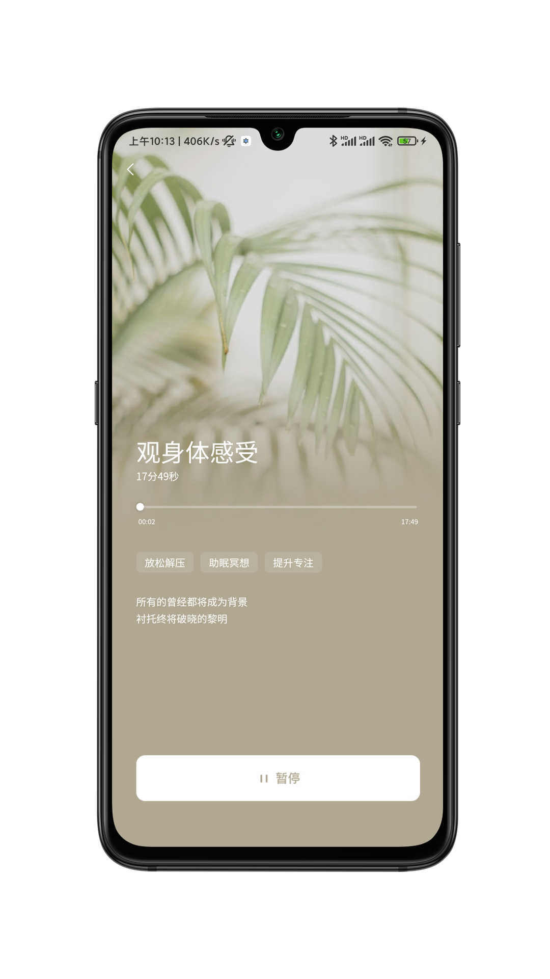 小夏在呢手机软件app