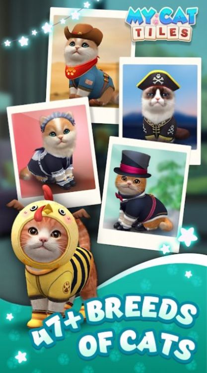 我的猫猫生活游戏截图