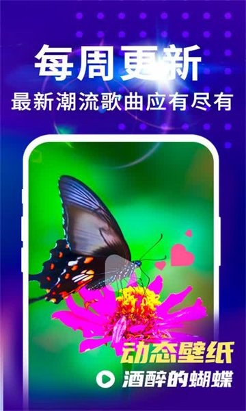 来电视频铃声手机软件app