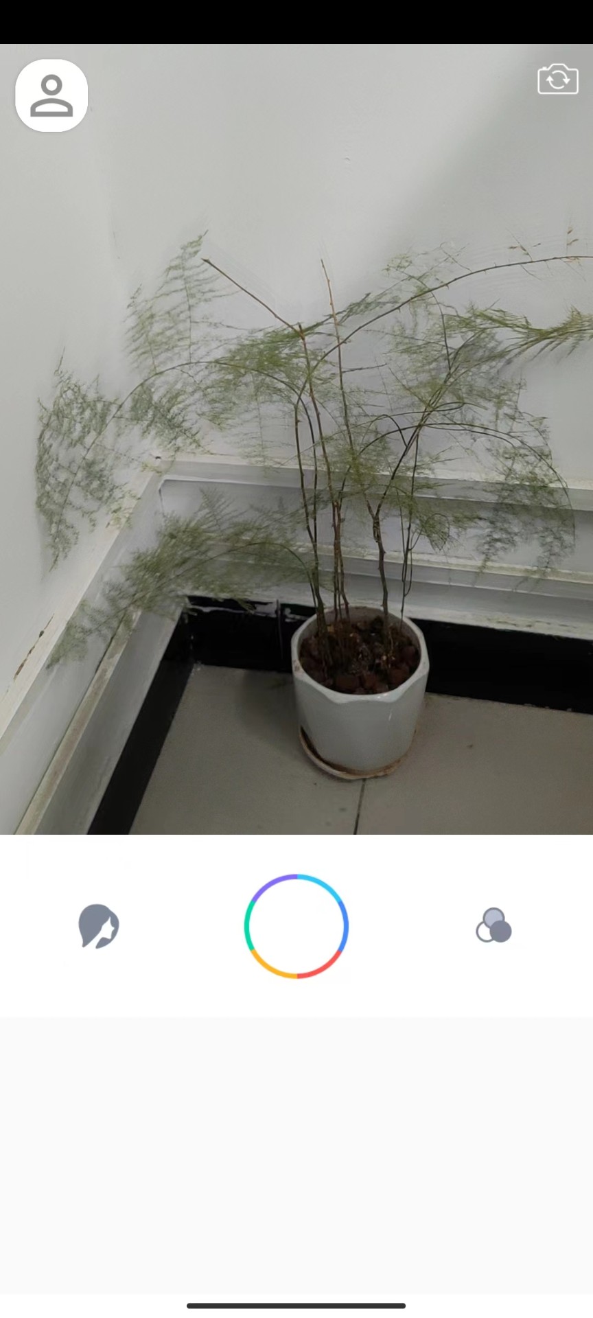 惊鸿相机手机软件app