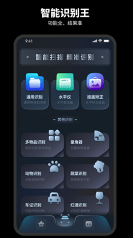 智能识别王手机软件app