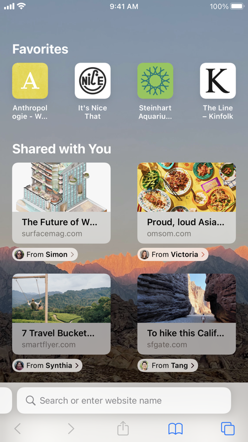 safari浏览器手机软件app