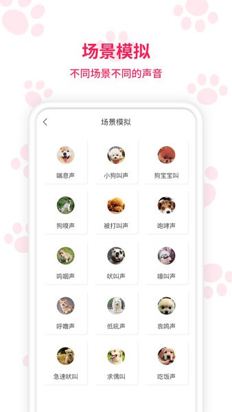 动物翻译器手机软件app