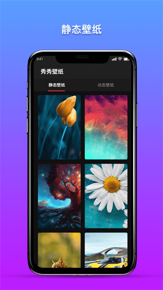 秀秀壁纸手机软件app