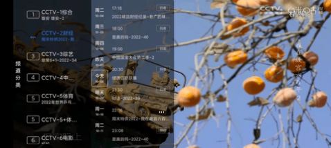 大白电视手机软件app