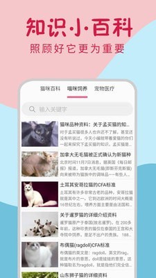 小猫翻译器软件截图