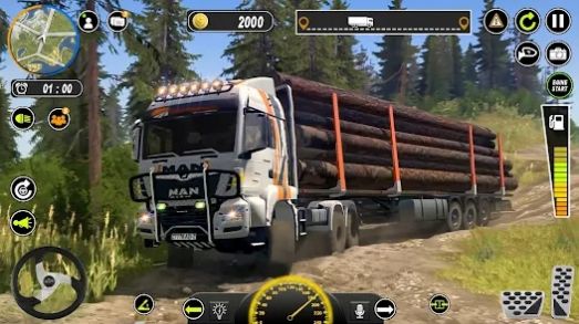 泥卡车货物模拟器游戏截图
