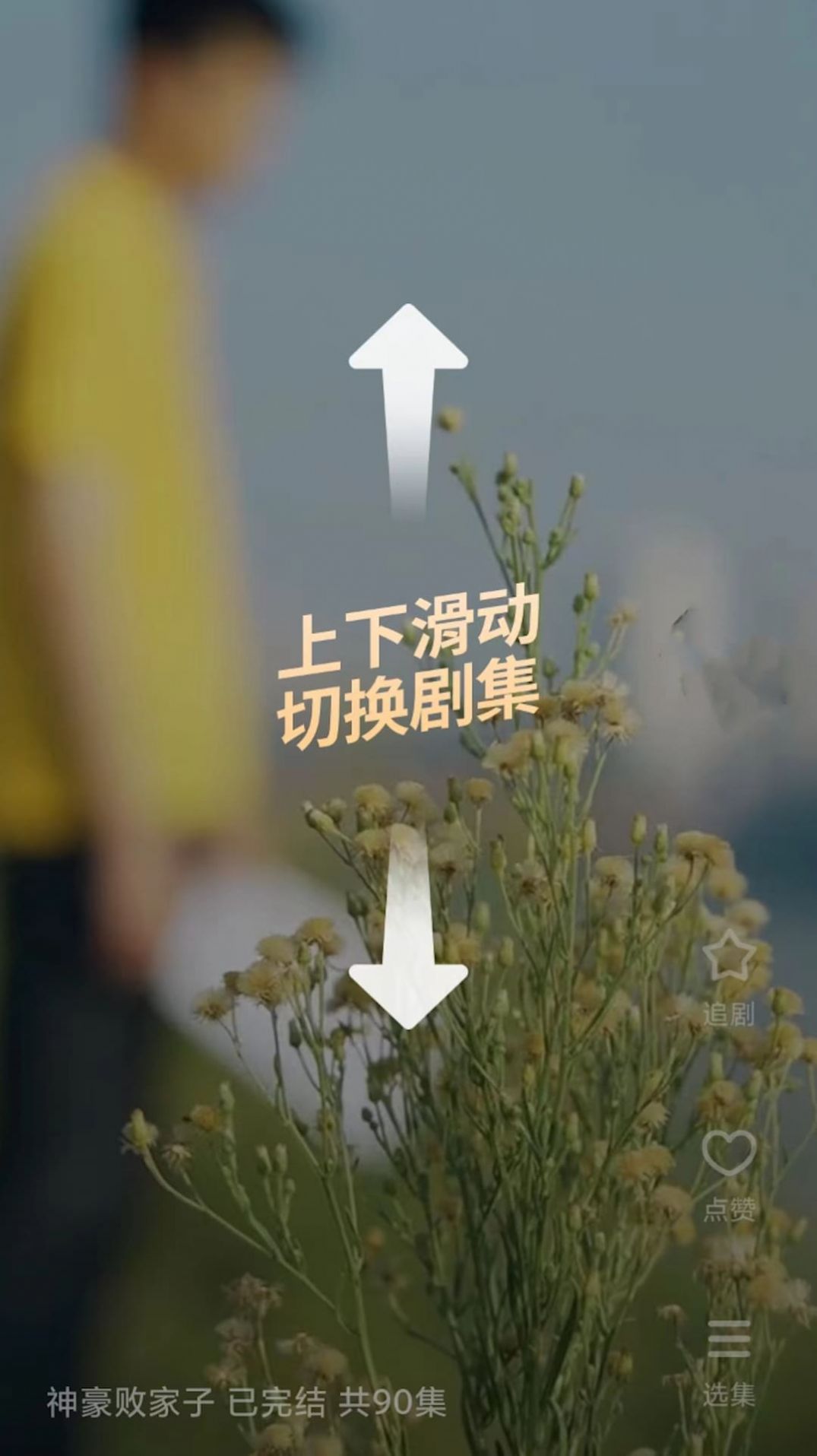 番茄短剧手机软件app