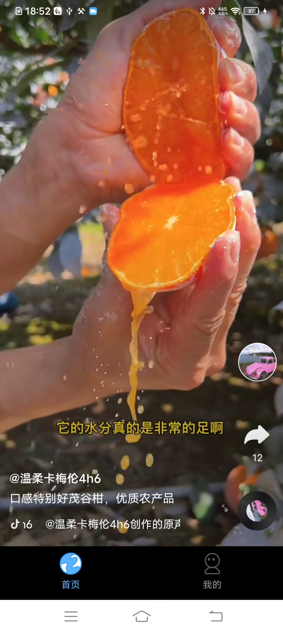 巅峰短剧手机软件app